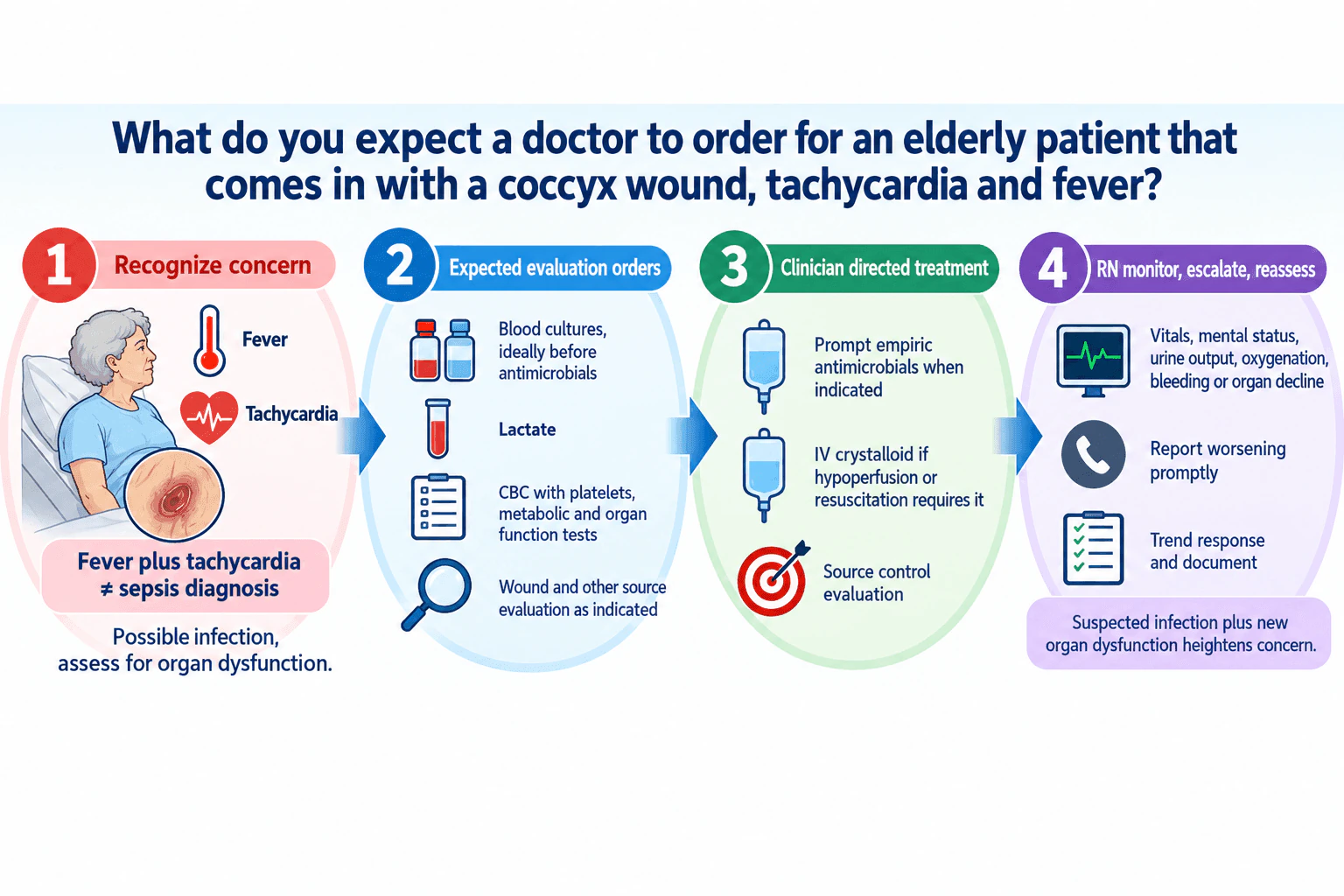 What do you expect a doctor to order for an elderly patient that comes in with a coccyx wound, tachycardia and fever? diagram