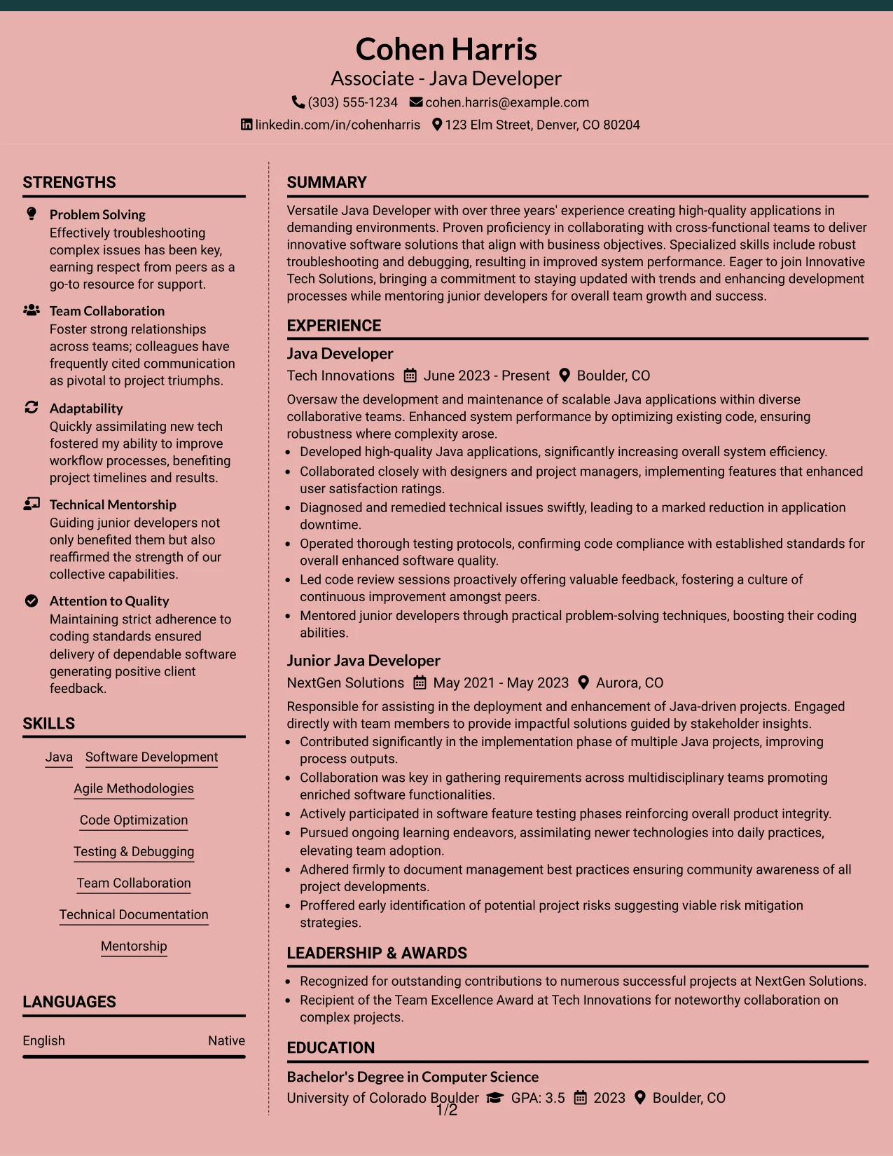 Resume Example Page 1