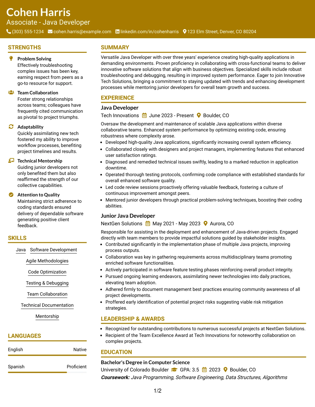 Resume Example Page 1