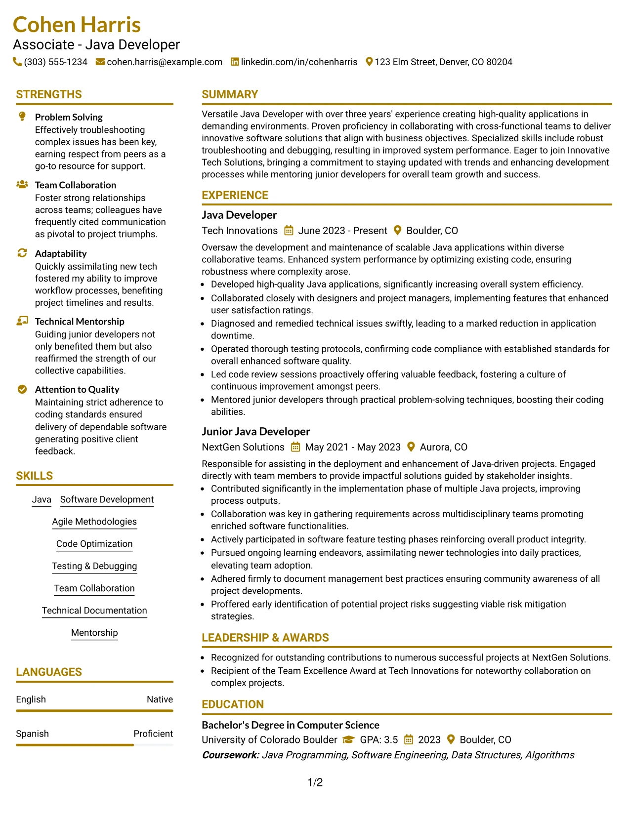 Resume Example Page 1