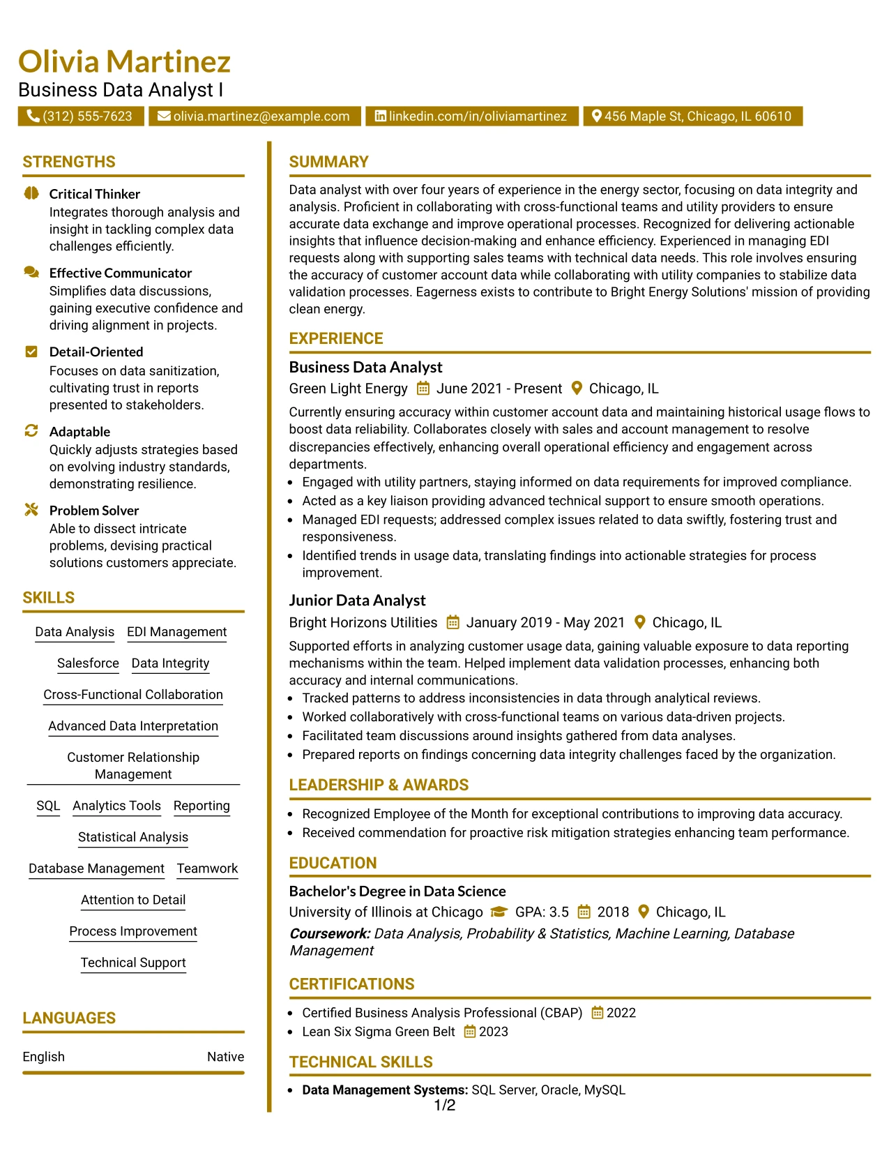 Resume Example Page 1