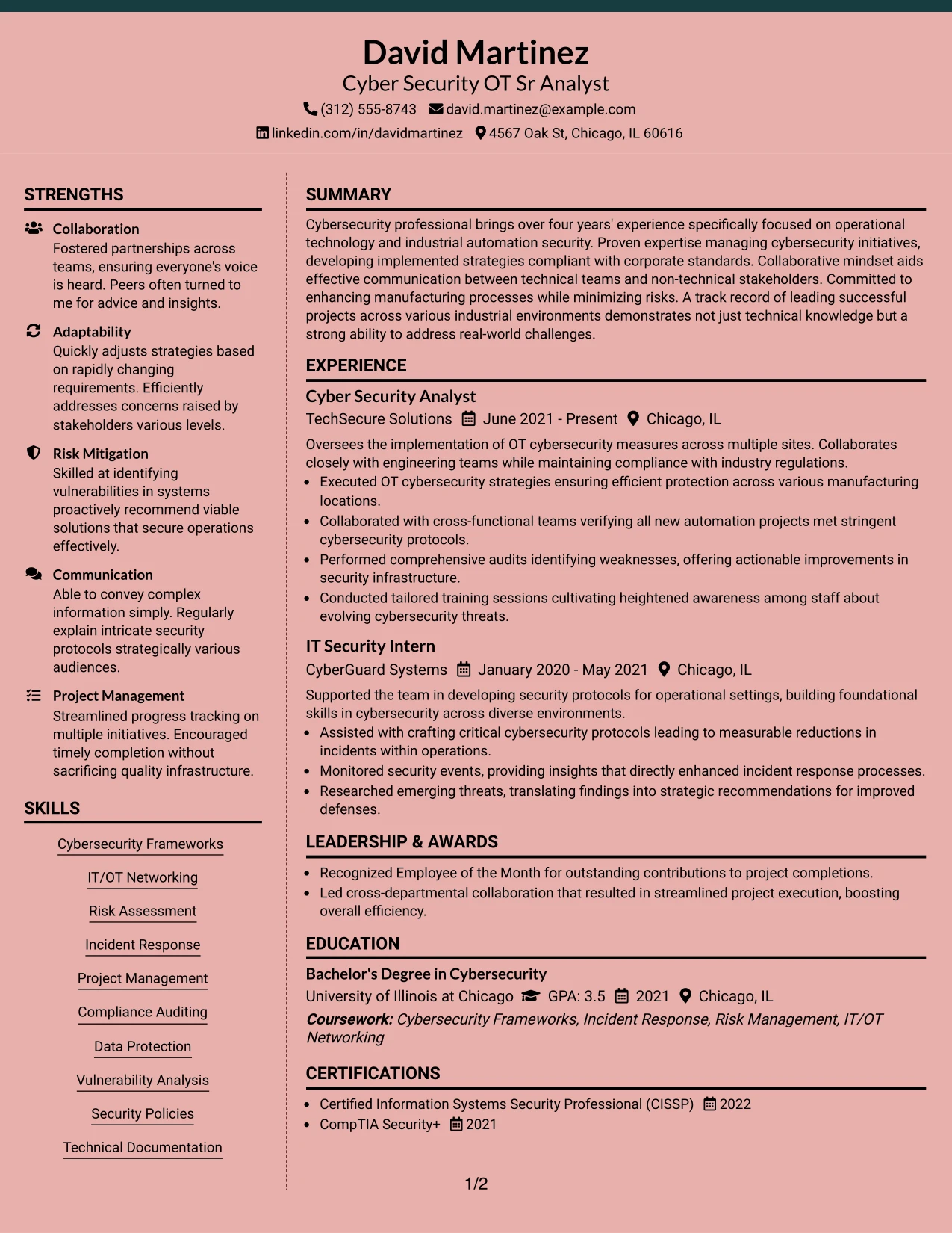 Resume Example Page 1