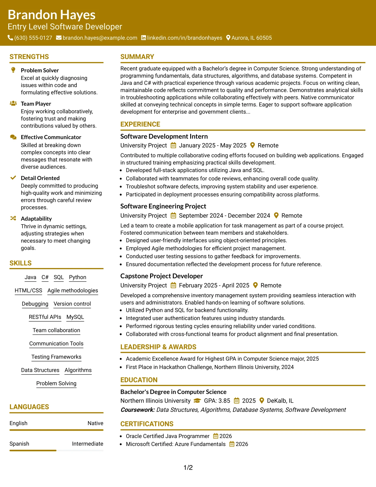 Resume Example Page 1