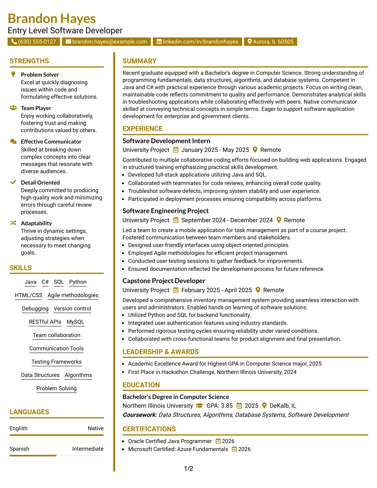 Resume Example Page 1