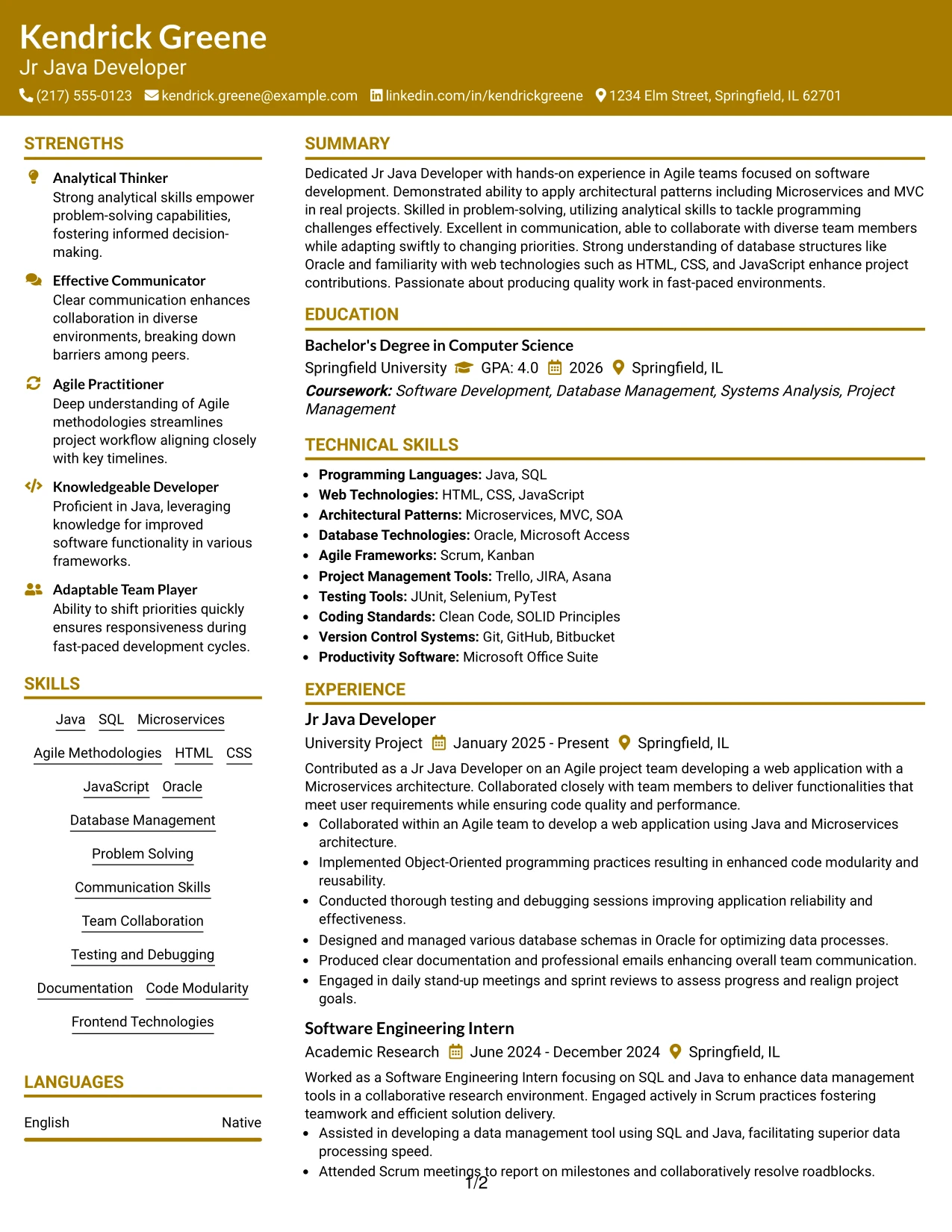 Resume Example Page 1