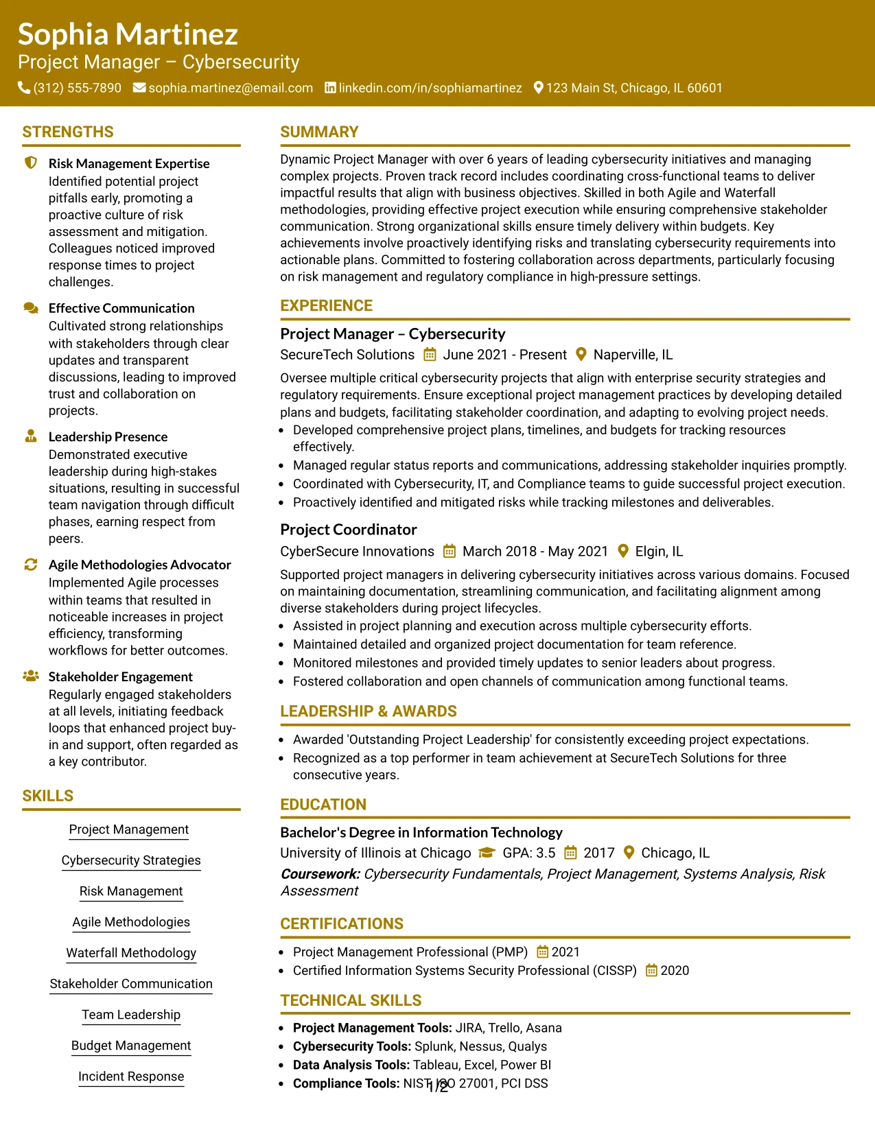 Resume Example Page 1