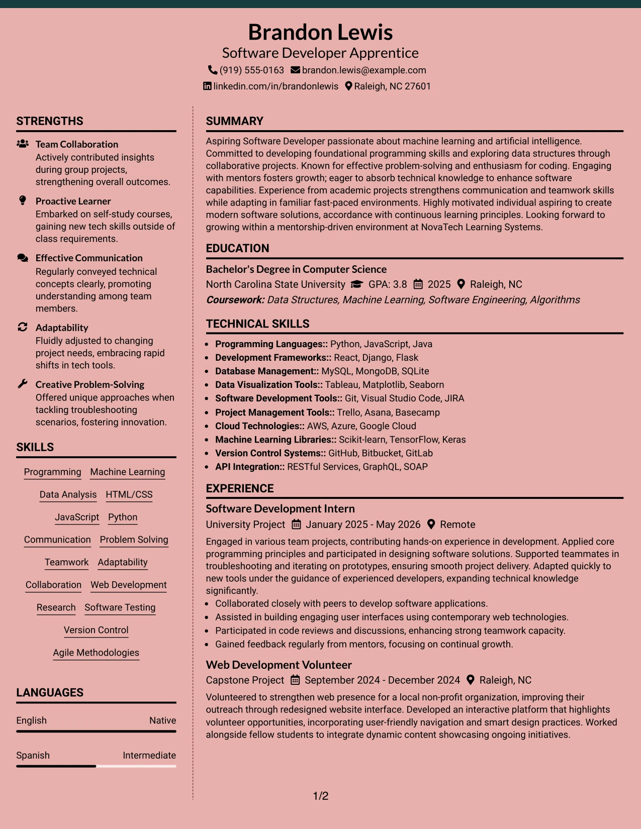 Resume Example Page 1