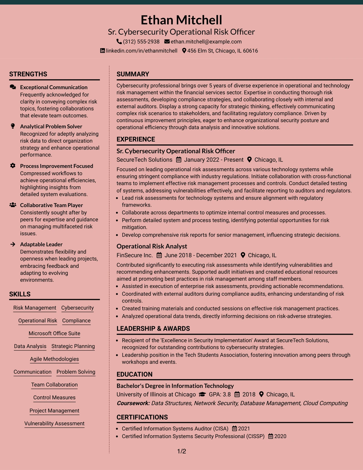 Resume Example Page 1