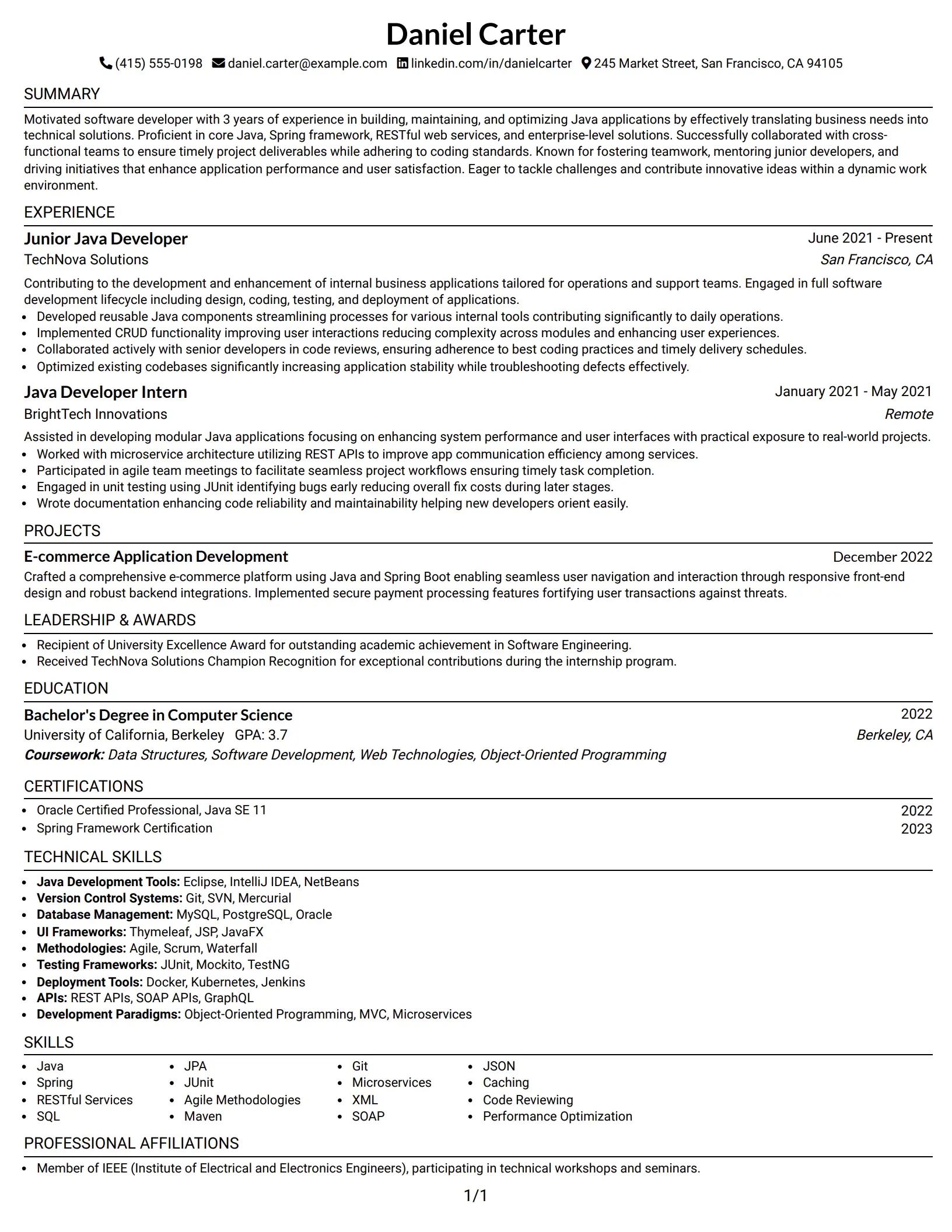 Java Software Developer Resume Example