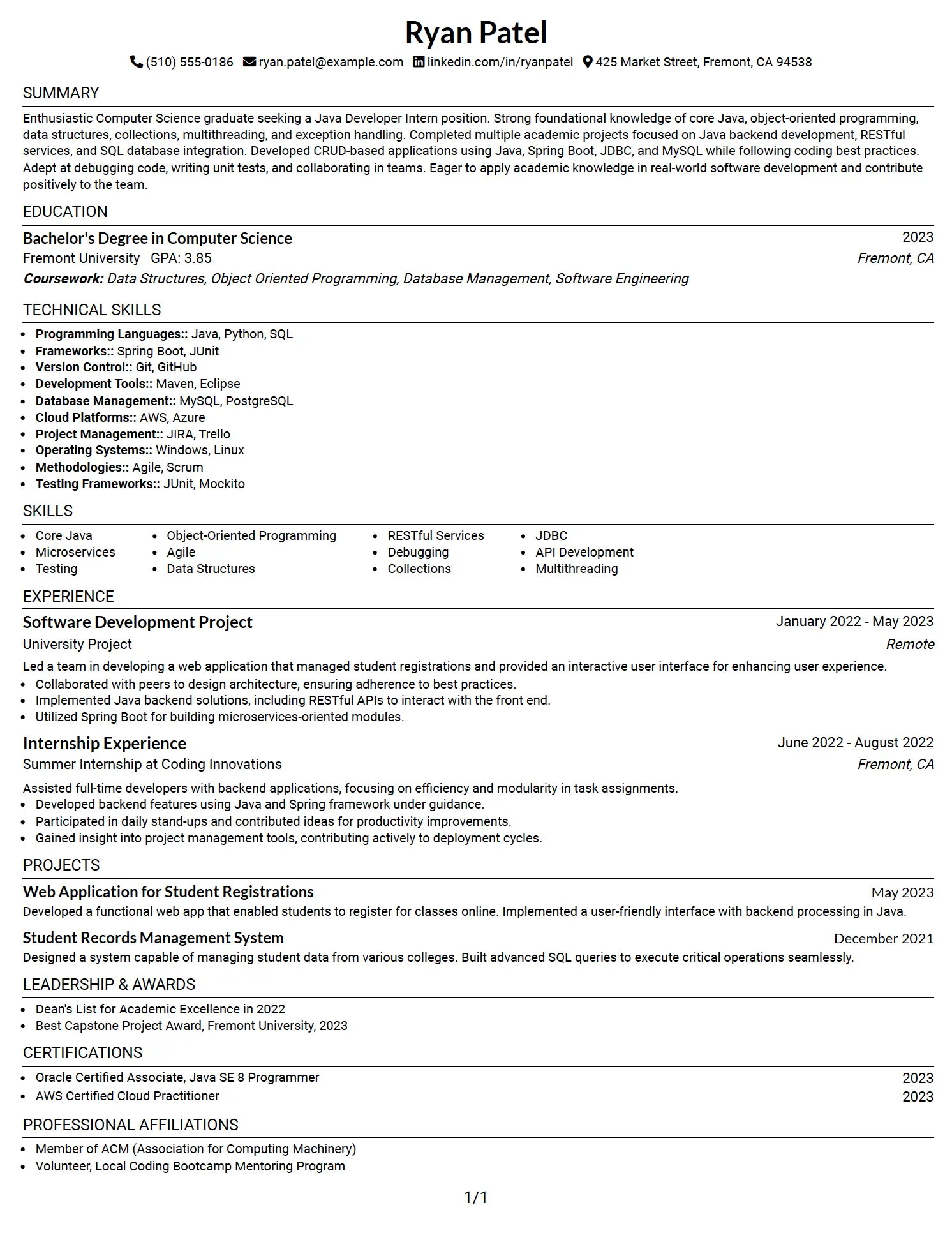Java Developer Intern Resume Example